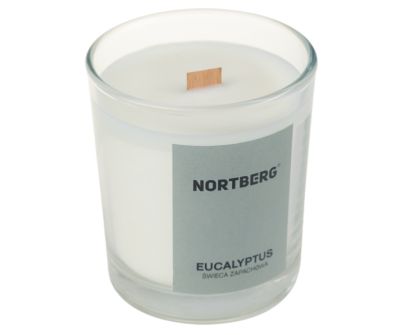 Candle EUCALYPTUS - Eucalyptus